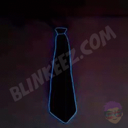 NEW!  EL Flashing Light Up Necktie